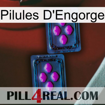 Engorge Pills 03